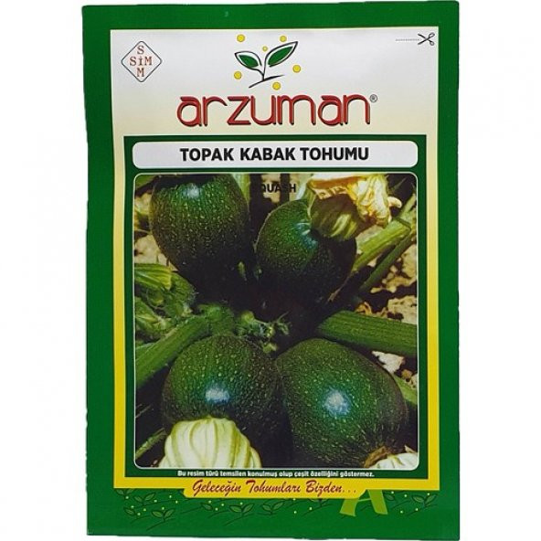 Arzuman Topak Kabak Tohumu 10 Gram ürün görseli 1