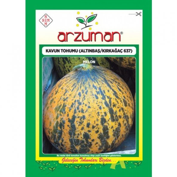 Arzuman Kırkağaç 637/ALTINBAŞ Kavun Tohumu (10 gr ) ürün görseli 1