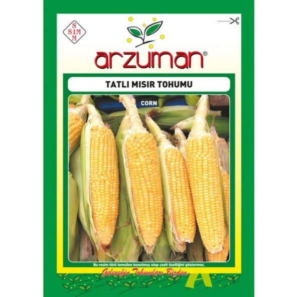 Arzuman Tatlı Mısır Tohumu 25 Gram ürün görseli 1