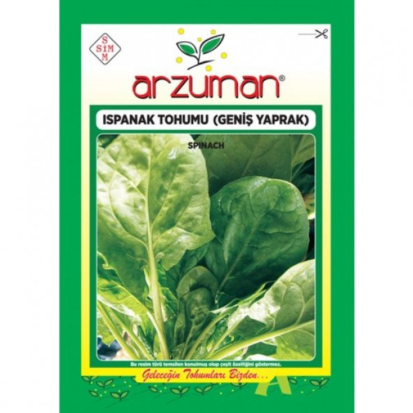 Arzuman Ispanak Tohumu Ithal (Matador Çeşidi) 25 gr ürün görseli 1
