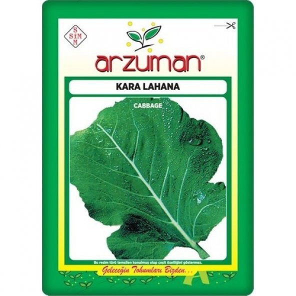 Arzuman Kara Lahana Tohumu (10 Gr) ürün görseli 1