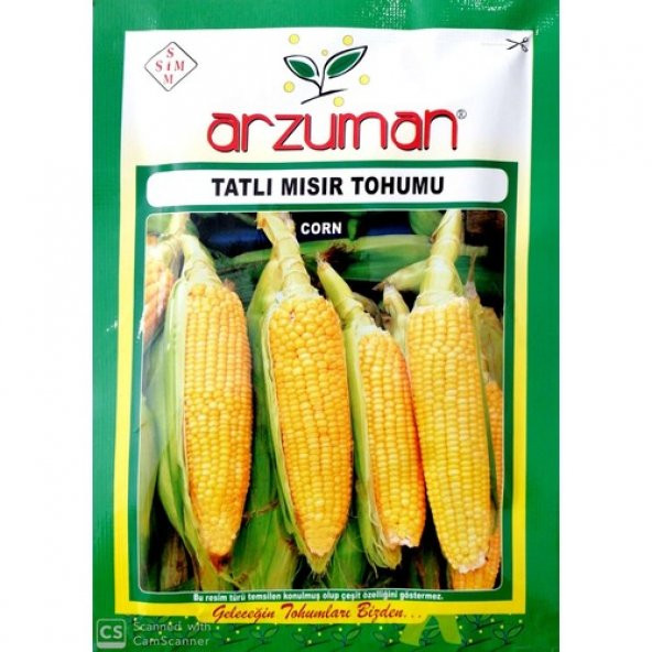 Arzuman Küçük Çiftlik Tatlı Mısır Tohumu 25 gr Hibrit Şeker Mısır ürün görseli 1