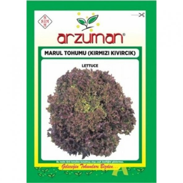 Arzuman Kırmızı Kıvırcık Marul Marul 5 gr ürün görseli 1