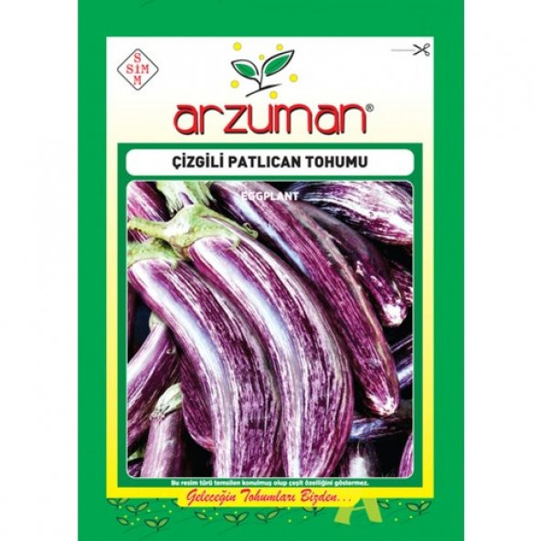 Arzuman Patlıcan Sebze Tohum Çizgili 5 gr ürün görseli 1