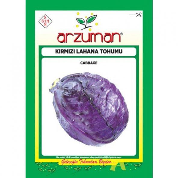 Arzuman Sebze Kırmızı Lahana Mor Tohum 25 gr ürün görseli 1