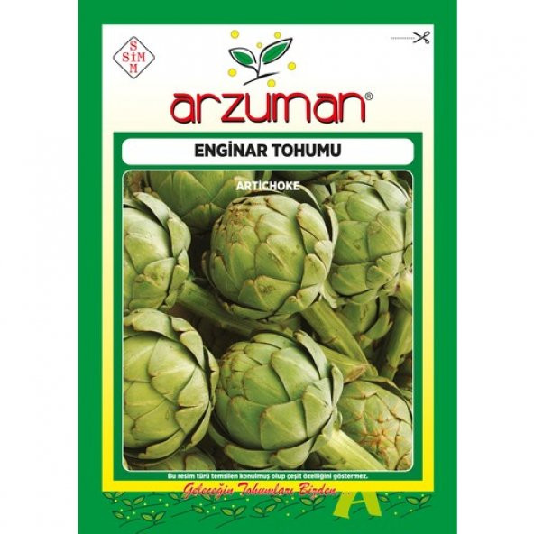 Arzuman Enginar Tohumu 20 Adet ürün görseli 1