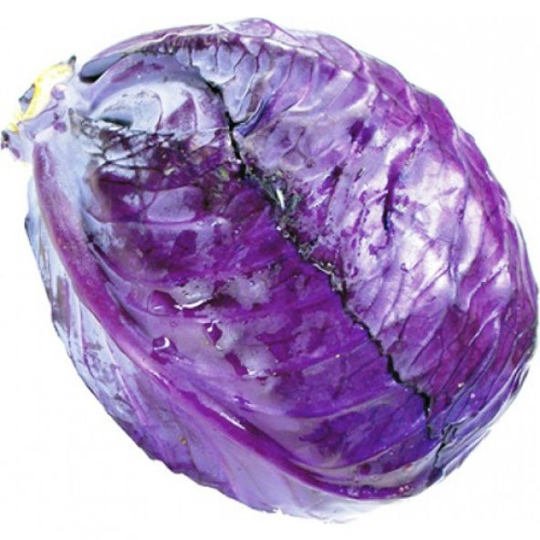 Arzuman Kırmızı - Mor Lahana 10 Gram ürün görseli 1