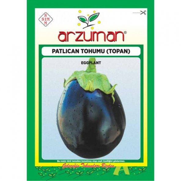 Arzuman Küçük Çiftlik Top Patlıcan Tohumu 10 gr Topan Çeşidi ürün görseli 1