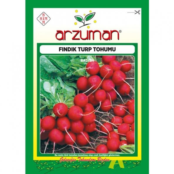 Arzuman Fındık Turp Tohumu 25 Gram ürün görseli 1