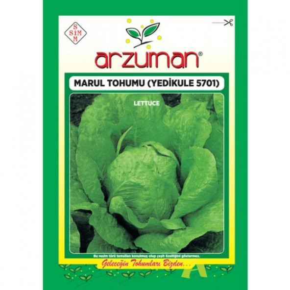 Arzuman Sebze Yedikule Marul Tohum 10 gr ürün görseli 1
