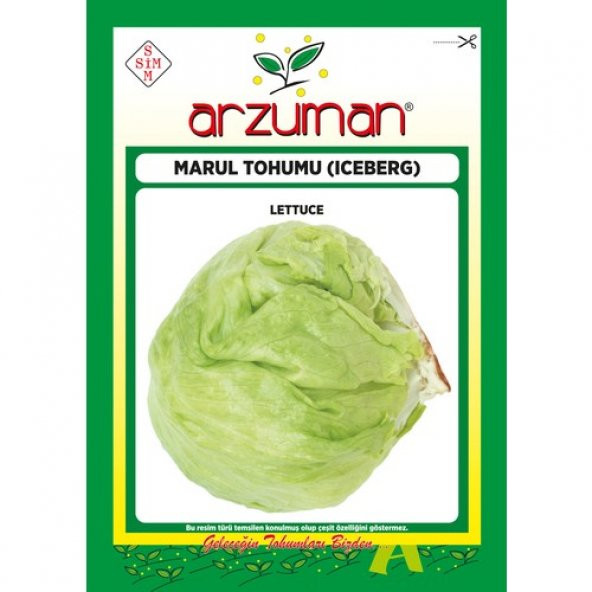 Arzuman Iceberg Marul Tohumu 5 Gram ürün görseli 1
