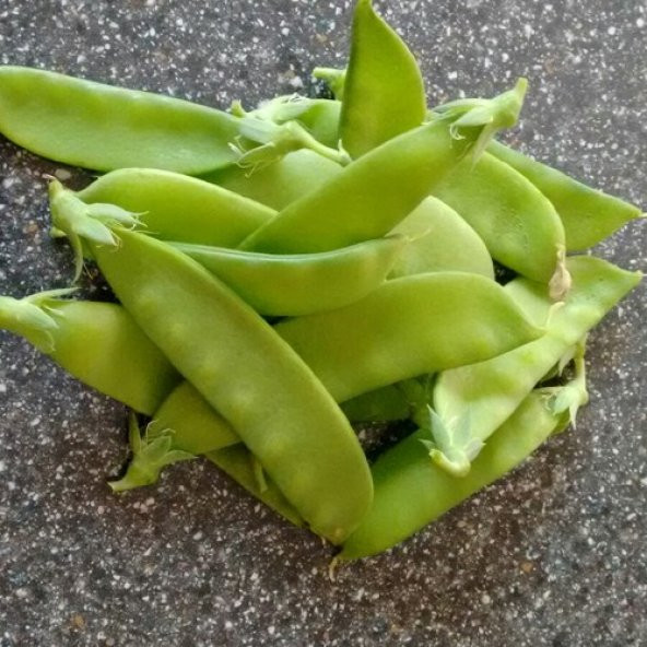 Arzuman Bezelye (Yaprak) 25 Gram ürün görseli 1