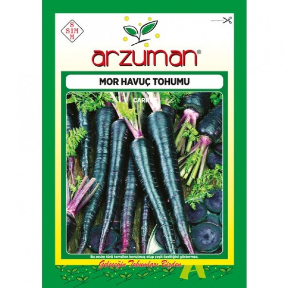 Arzuman Mor Havuç Tohumu 10 Gram ürün görseli 1