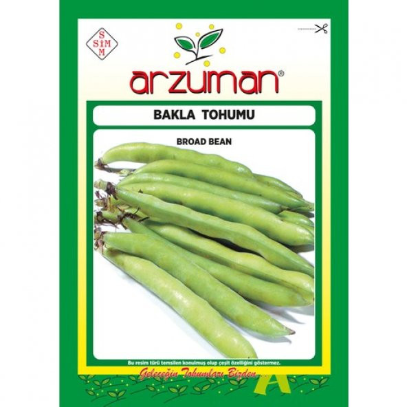 Arzuman Sakız Bakla Tohumu 50 Gram ürün görseli 1