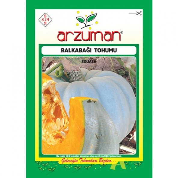 Arzuman Arıcan 97 Balkabağı Tohum 10 gr ürün görseli 1