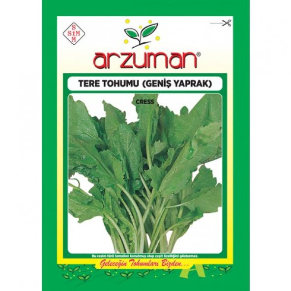 Arzuman Tere Otu Sebze Tohum Geniş Yaprak 10 gr ürün görseli 1