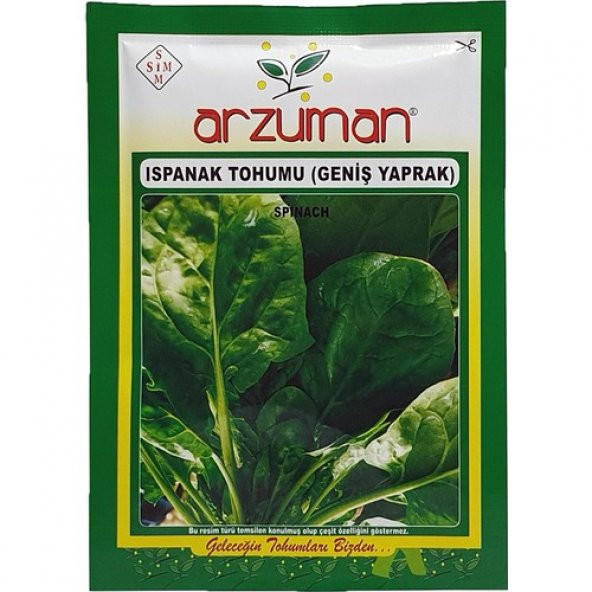 Arzuman Geniş Yapraklı Ispanak Tohumu 25 Gram ürün görseli 1