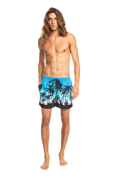 Quiksilver EQYJV03861 - Everday Paradise Volley 15 Şort ürün görseli 1