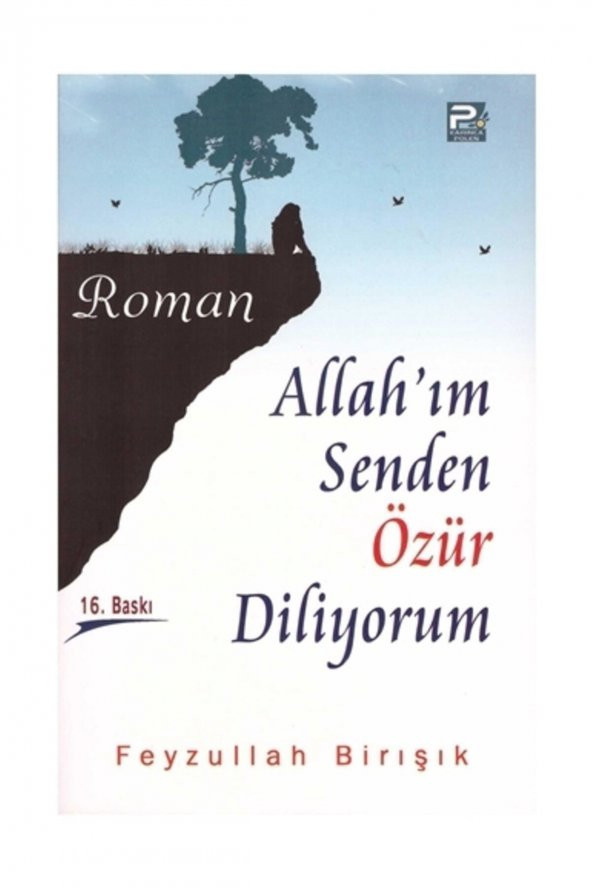 Allahım Senden Özür Diliyorum - Feyzullah Birışık ürün görseli 1