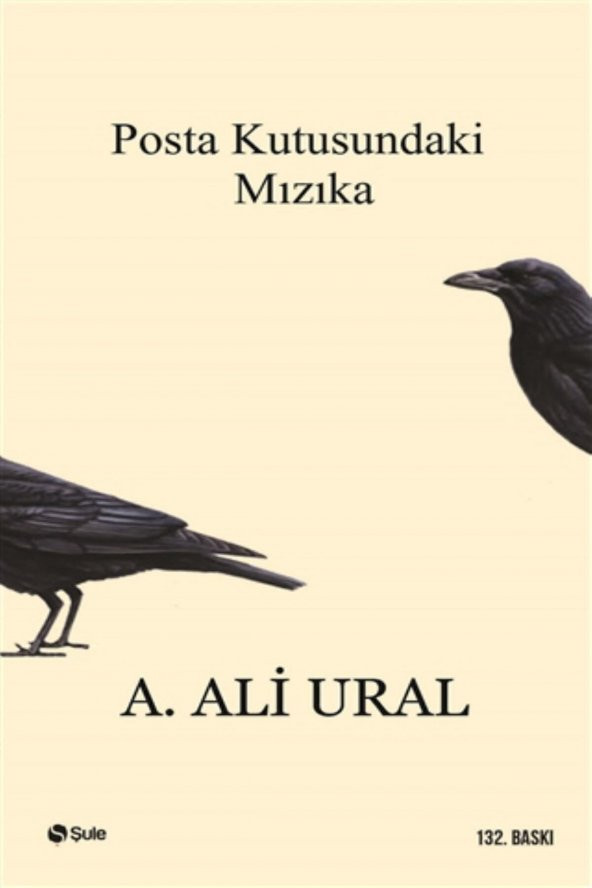 Posta Kutusundaki Mızıka - A. Ali Ural - ürün görseli 1