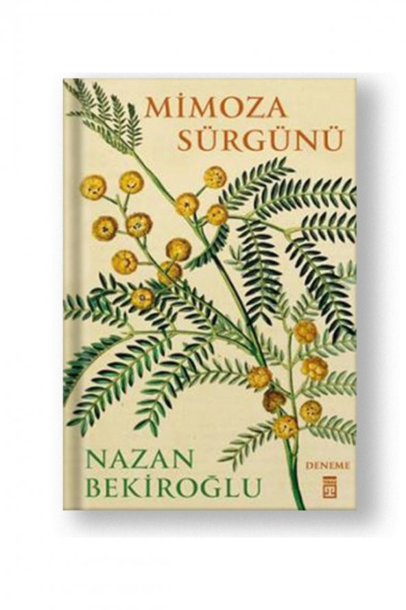 Mimoza Sürgünü ürün görseli 1