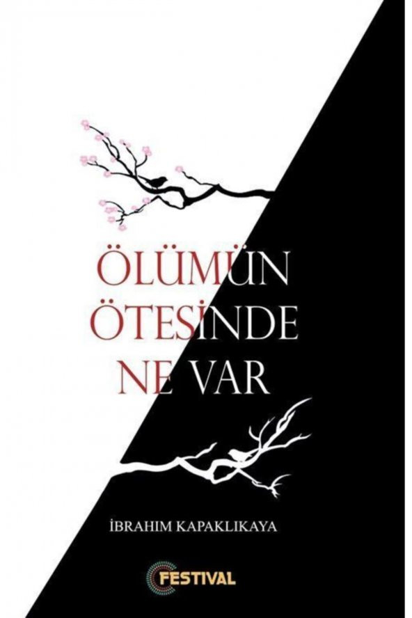 Ölümün Ötesinde Ne Var ? ürün görseli 1