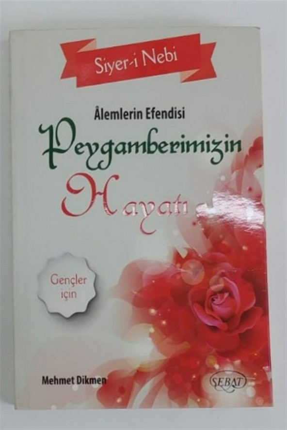 Alemlerin Efendisi Peygamberimizin Hayatı ürün görseli 1