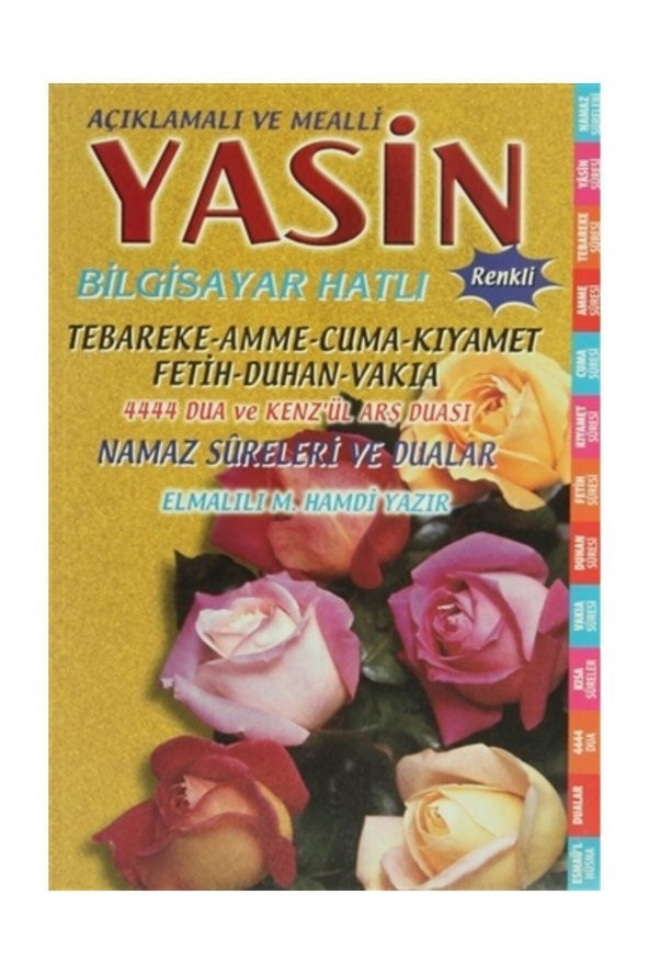 Açıklamalı ve Mealli Yasin ( Bilgisayar Hatlı Renkli ) Elmalılı Muhammed Hamdi Yazır ürün görseli 1