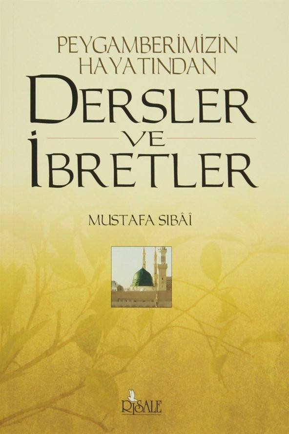 Peygamberimizin Hayatından Dersler ve İbretler ürün görseli 1