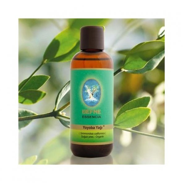 Nuka Yoyoba Yağı Soğuk Pres Organik 30 Ml Diğer Adı Jojoba Yağı ürün görseli 1