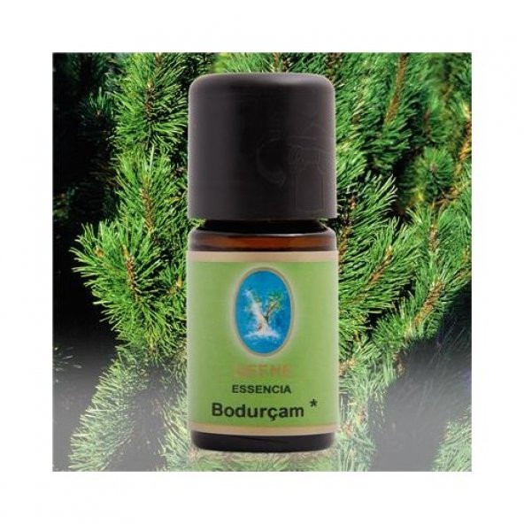 Nuka Defne Bodur Çam Yağı 5 Ml Aromatik Cilt Bakım Nuka Yağ ürün görseli 1