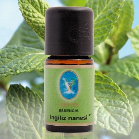 Nuka Yağ İngiliz Nanesi 5 Ml Aromatik Cilt Bakım Ve Masaj Yağı ürün görseli 1