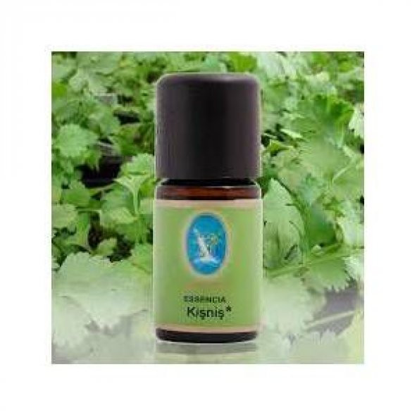 Nuka organik kişniş yağı 5 ml ürün görseli 1