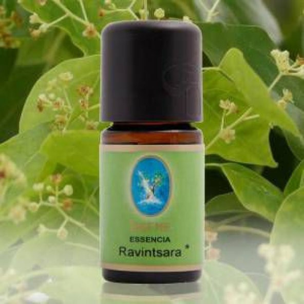 Nuka Ravintsara Yağı 5 ml. (Organik - Damıtma) Madagaskar ürün görseli 1