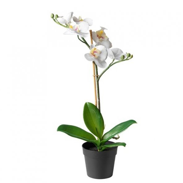 Yapay Orkide Beyaz 9 Cm MeridyenDukkan 9 cm Yapay Çiçek Orkide ürün görseli 1