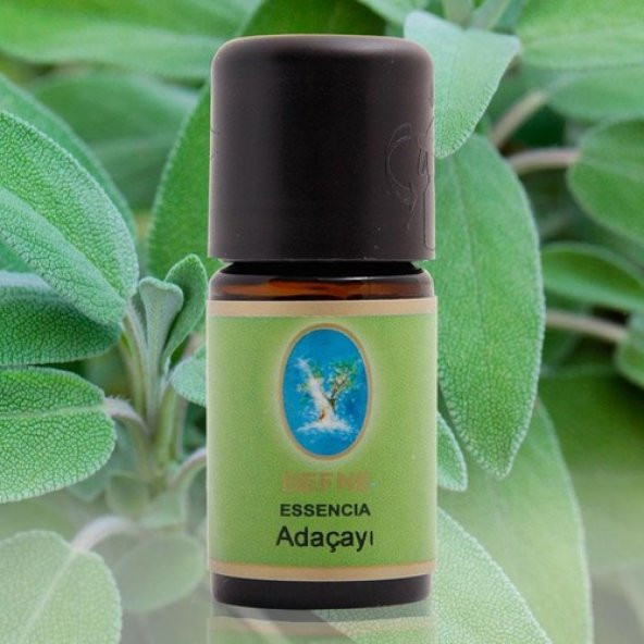 Nuka Defne Ada Çayı 5 Ml Aromatik Cilt Bakım Ve Masaj Yağı ürün görseli 1