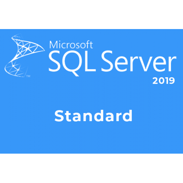 Microsoft SQL Server 2019 Standard Lisans ürün görseli 1