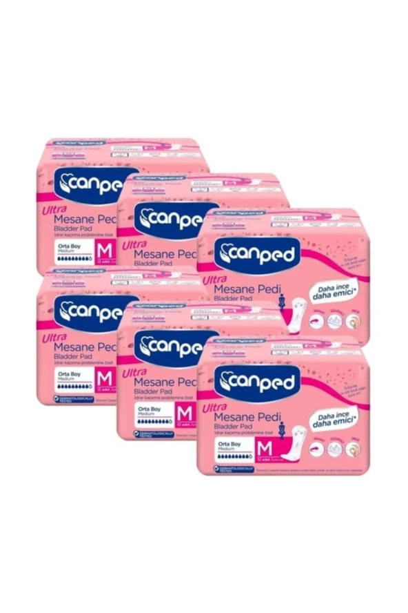 Canped Ultra Mesane Pedi Orta 12 Li X 6 Adet ürün görseli 1