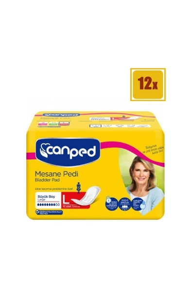 Canped Mesane Pedi Büyük 10 Adet 12'li Set ürün görseli 1