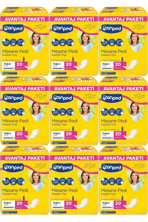 Canped MESANE PEDİ 20 Lİ LARGE (L) 9 ADET ürün görseli 1