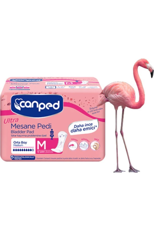 Canped 6 Paket Ultra Mesane Pedi Medium 12'li ürün görseli 1