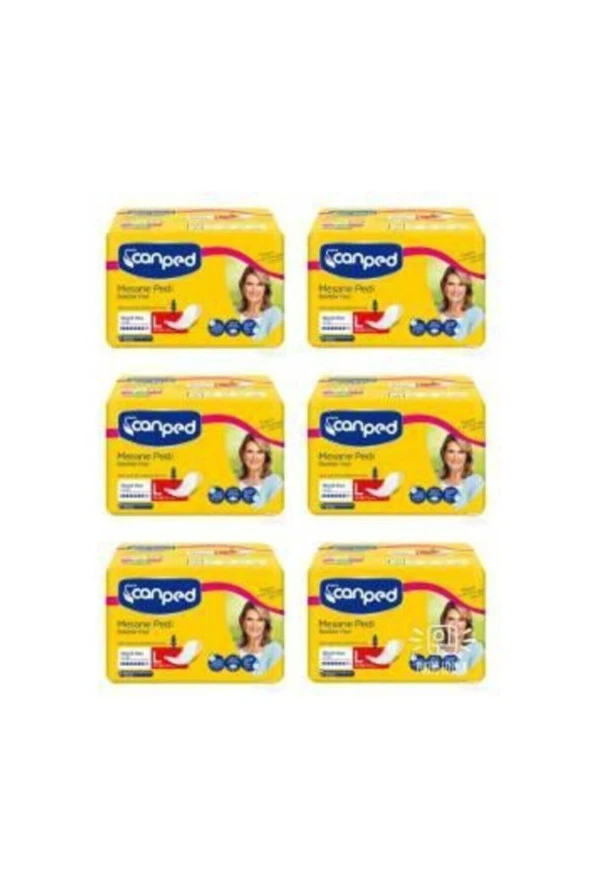 Canped Mesane Pedi Büyük Large 10 Lu 6 Paket 60 Adet ürün görseli 1
