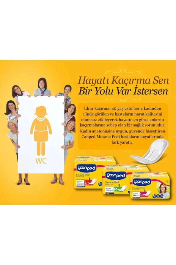 Canped MESANE PEDİ 10 LU ORTA (M) 1 ADET - Resim 2