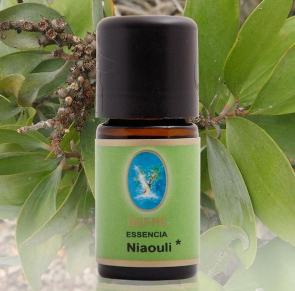 Nuka Niaouli 10 Ml (Organik Damıtma) Cilt Bakım ve Masaj Yağı 100 Saf Uçucu Yağ ürün görseli 1