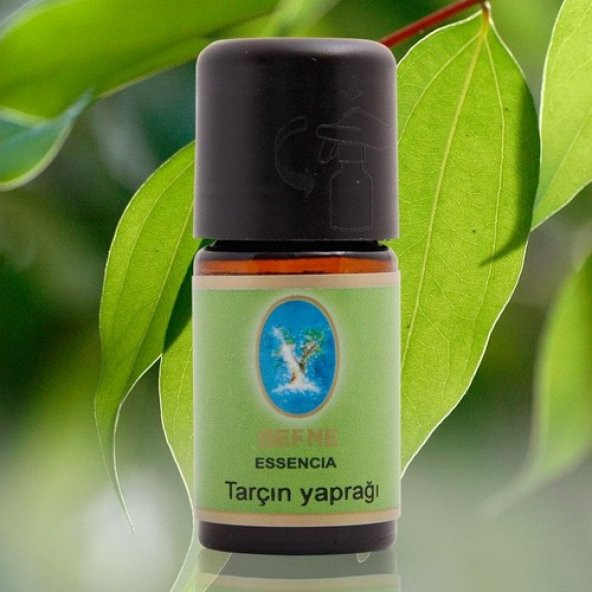 Nuka Tarçın Yaprağı Yağı 10 Ml Aromatik Cilt Bakım Ve Masaj Yağı ürün görseli 1