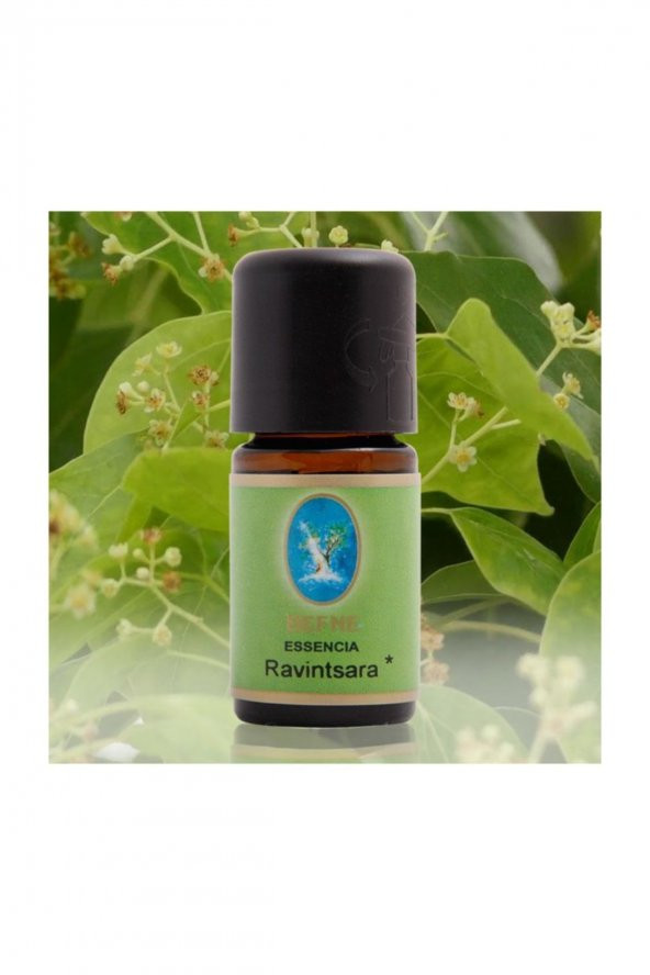 Nuka Organik Ravintsara Yağı 5 ml. ürün görseli 1