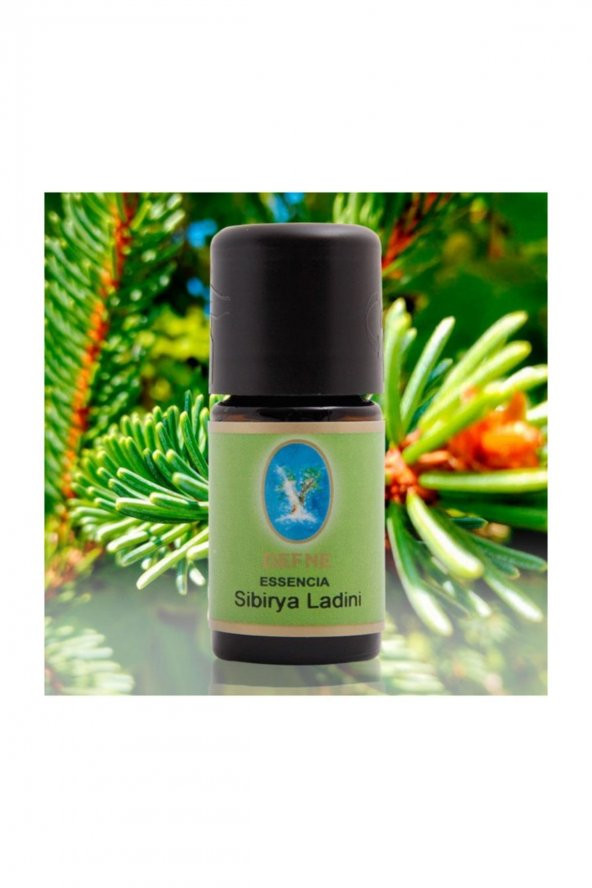 Sibirya Ladini Yağı 5 ml. (naturel Damıtma) ürün görseli 1