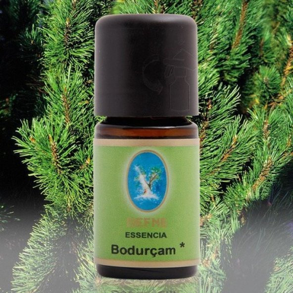 Nuka Defne Bodur Çam Yağı 10 ml ürün görseli 1