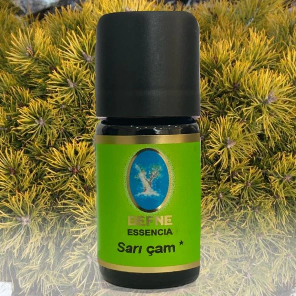 Defne Nuka Essencia Sarı Çam Yağı 10 ML ürün görseli 1