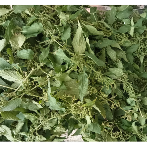 Yerli Erkek ısırgan tohumu ve yaprağı Bitki Çayı 30 G ürün görseli 1
